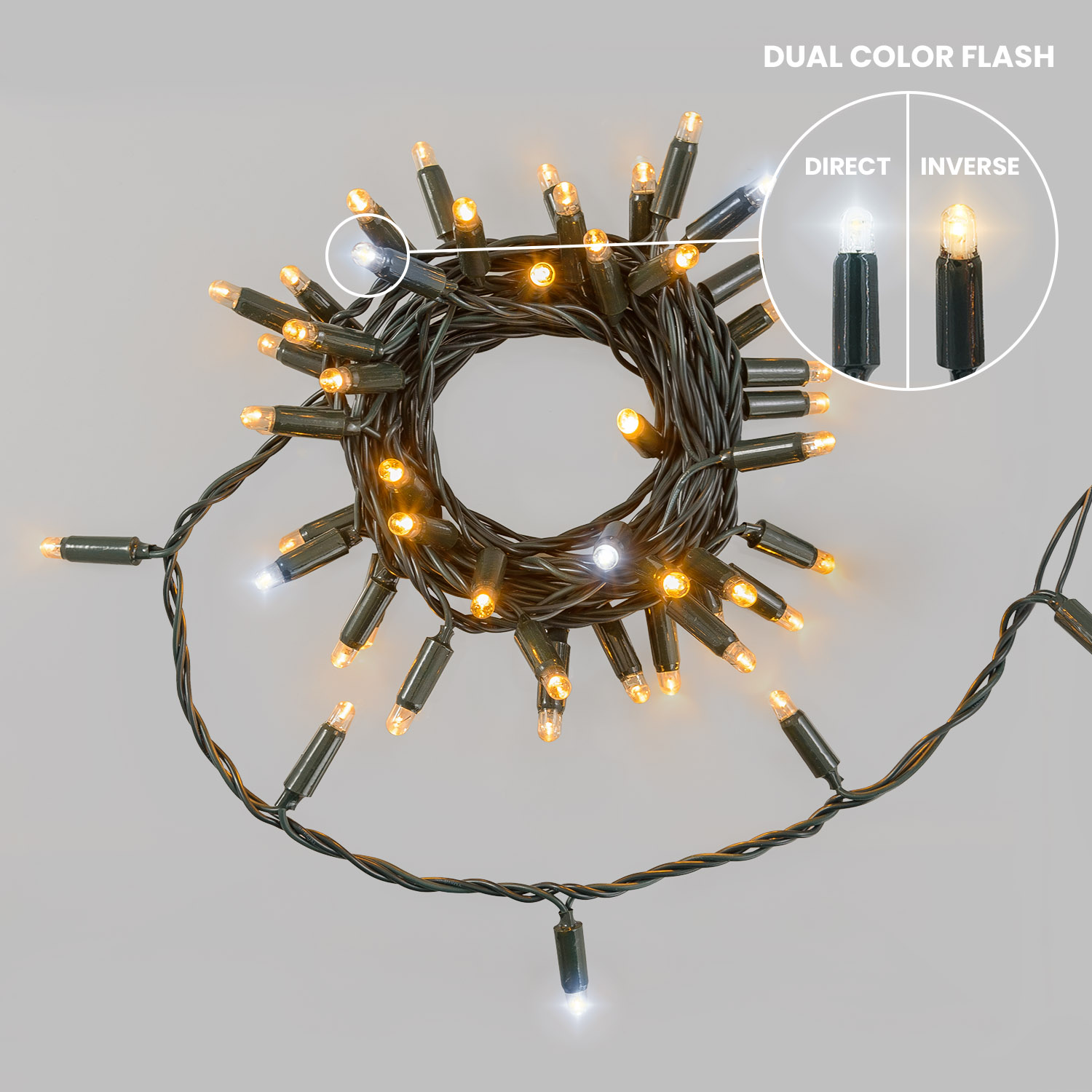 Guirlande Connect ProLine 36V, 5 m, 50 maxiled blanc chaud, câble vert