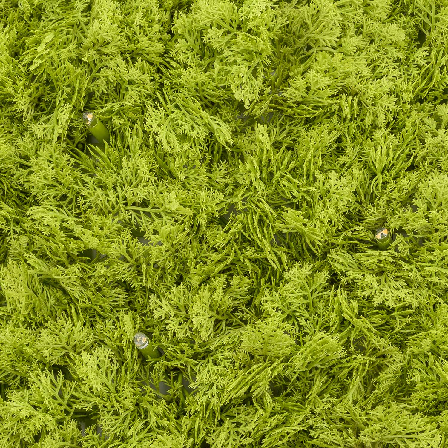 Pannello di Lichene artificiale verde acido Green Wall Light, senza luci 2