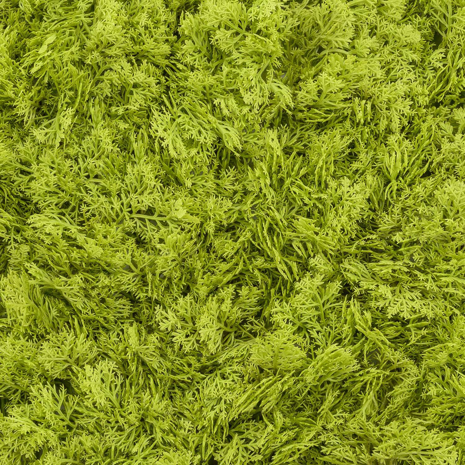 Panneau de Lichen artificiel vert acide Green Wall Light, 16 Maxiled Dual Color blanc chaud 13