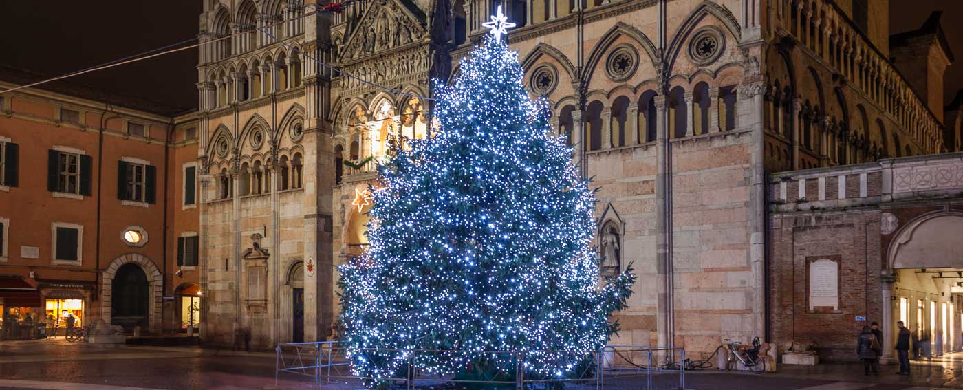 Albero di Natale da esterno: dritte e consigli