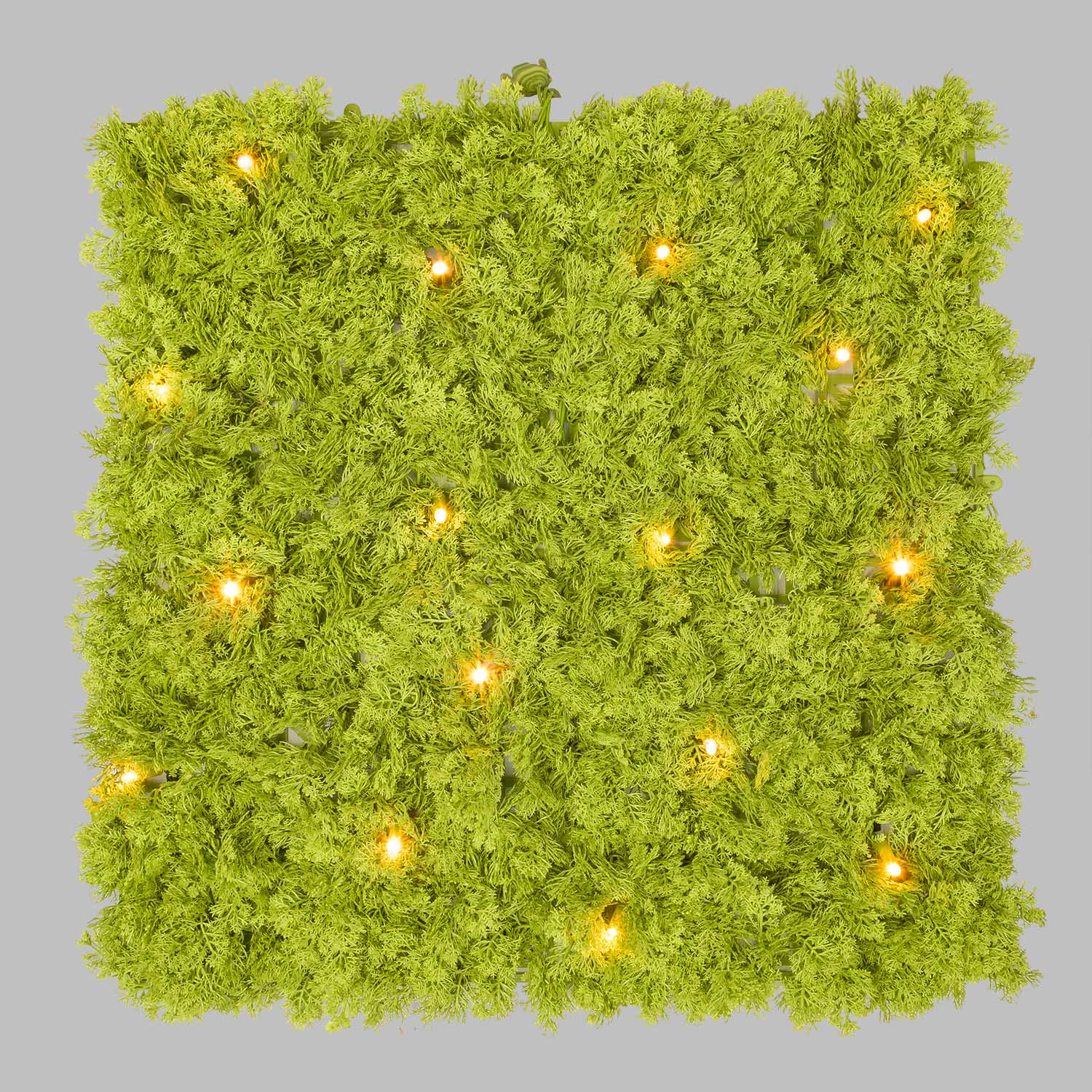 Pannello di Lichene artificiale verde acido Green Wall Light, 16 maxiled Dual Color bianco caldo