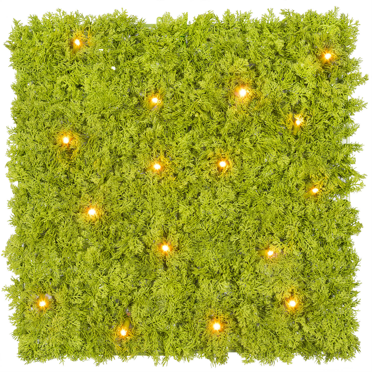 Panneau de Lichen artificiel vert acide Green Wall Light, 16 Maxiled Dual Color blanc chaud 1