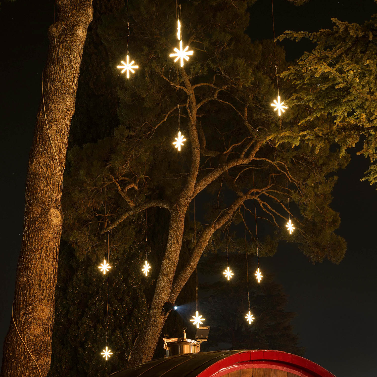Animated Polar Star 36 cm, Connect ProLine 36V, 76 led SMD bianco caldo, cavo trasparente