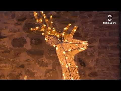 85cm Reindeer 3D, Light Cream & Brown series, 120 Dual LEDs in Traditional Warm White and Cold White 2
