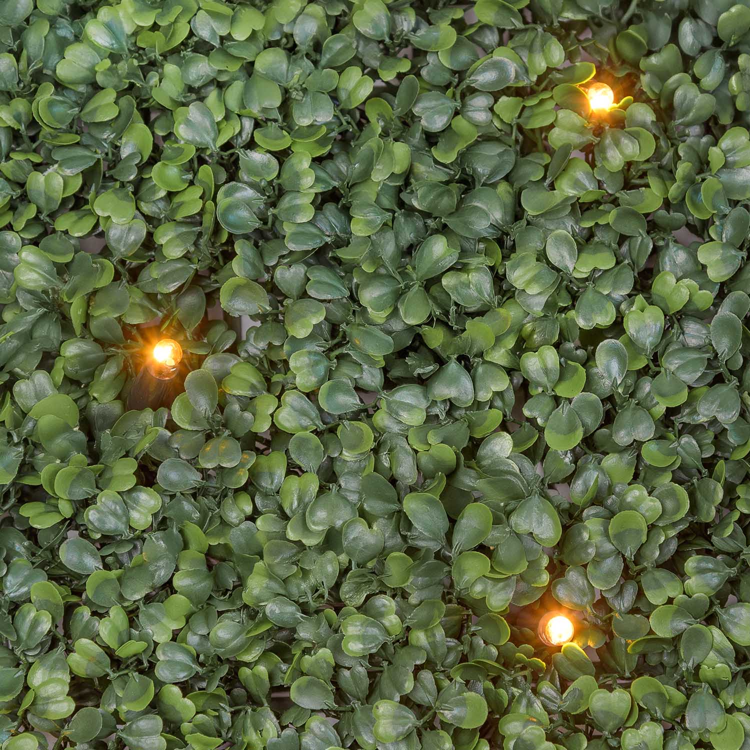 Pannello di Bosso artificiale verde scuro Green Wall Light, 16 maxiled Dual Color bianco caldo 14