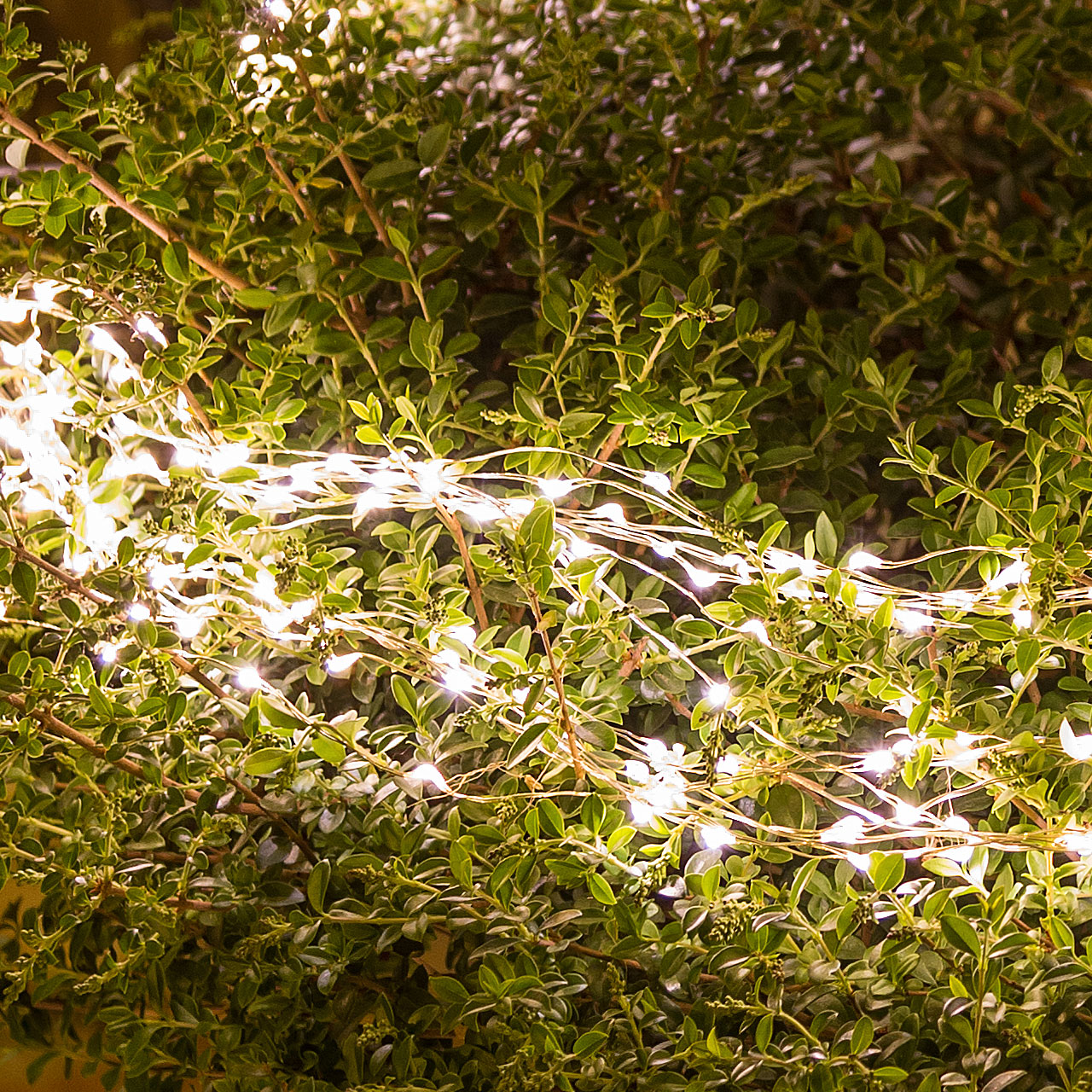 Cascada Led cálido 3m 4 Cascada Led cálido 3m 4