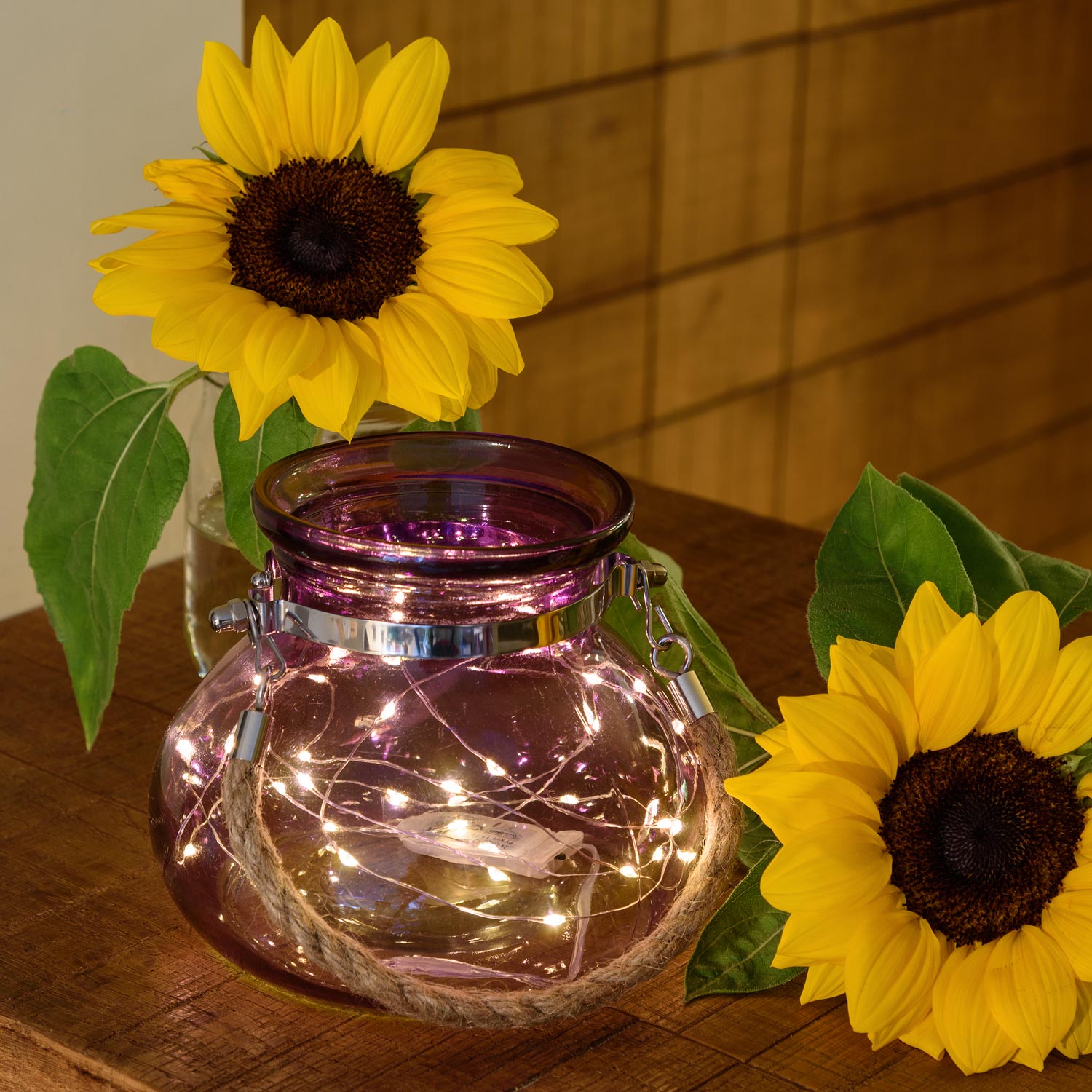 Vase en verre violet avec lumière, 40 MicroLED blanc chaud 6 Vase en verre violet avec lumière, 40 MicroLED blanc chaud 6