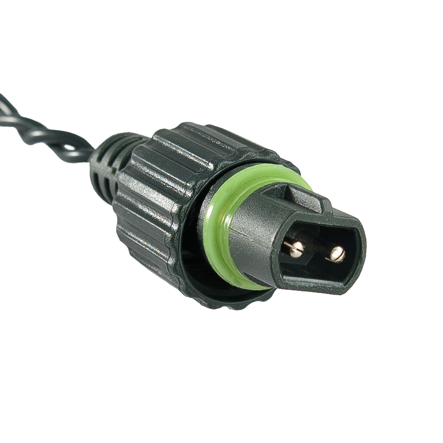 Guirlande Connect ProLine 36V, 5 m, 50 maxiled blanc chaud, câble vert, prolongeable 3