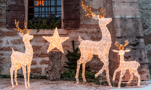 Rennes lumineux