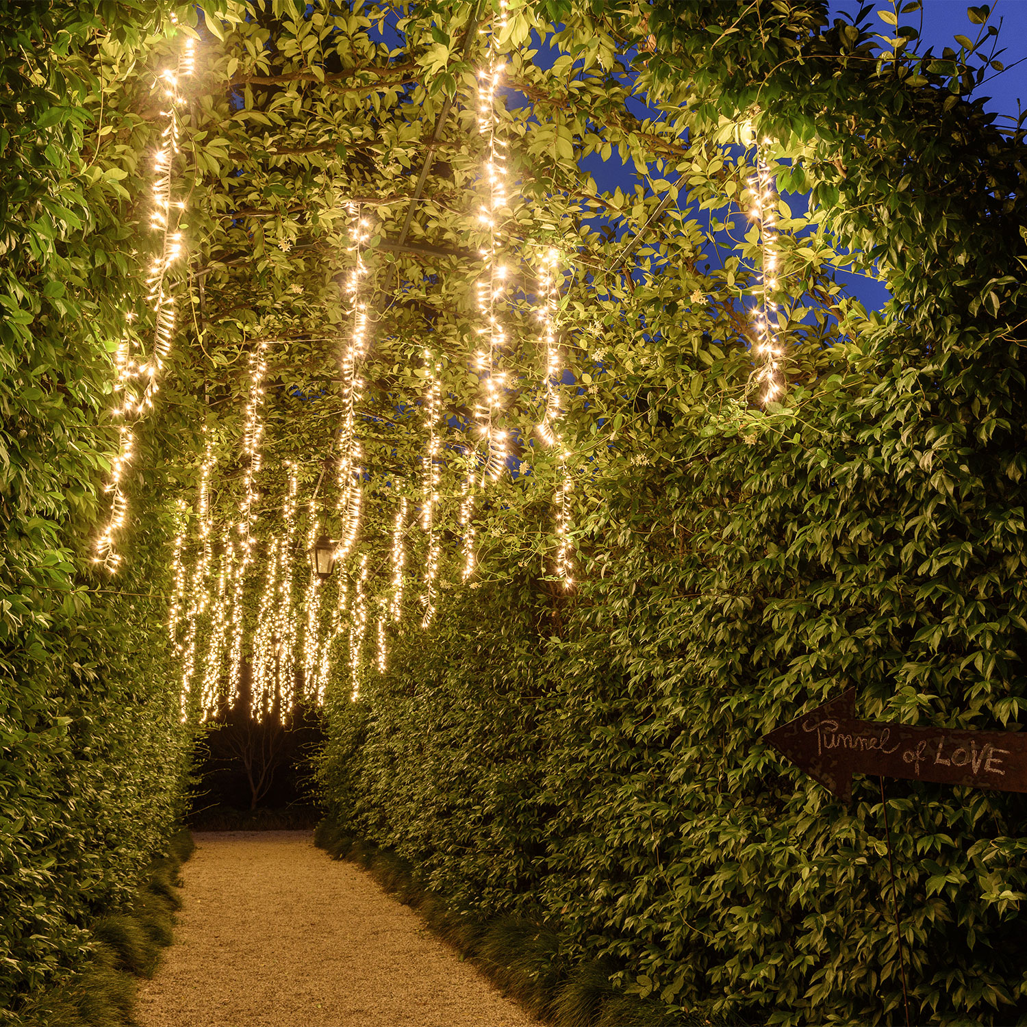 Cascada Smart Connect 3 Festones colgantes, Led blanco cálido 12 Cascada Smart Connect 3 Festones colgantes, Led blanco cálido 12