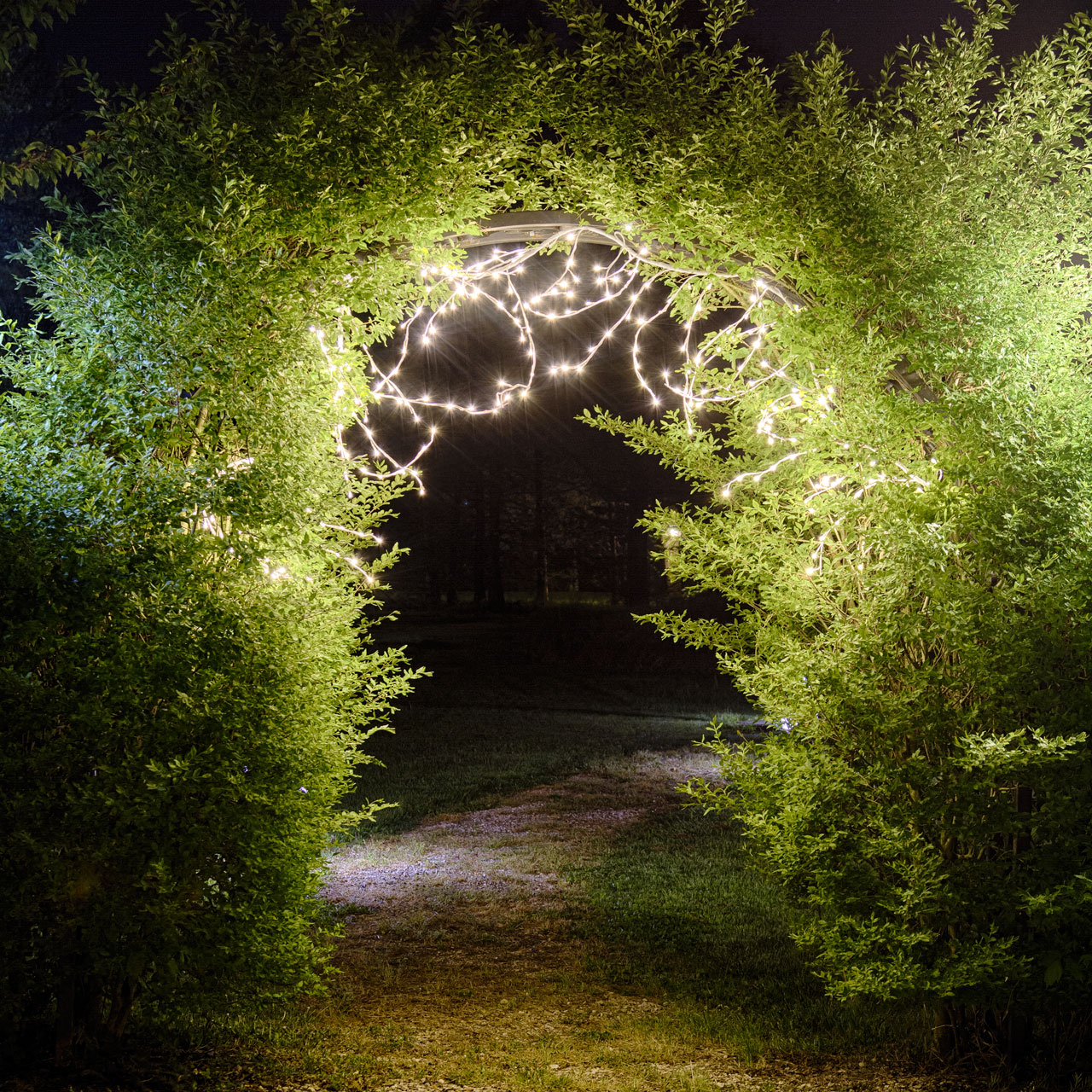 3m White Branch Lights, 288 Warm White LEDs 9 3m White Branch Lights, 288 Warm White LEDs 9