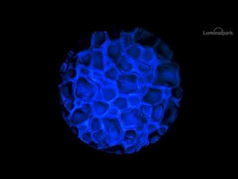 Gobo Wassereffekt, Ø37-23 mm 2 Gobo Wassereffekt, Ø37-23 mm 2