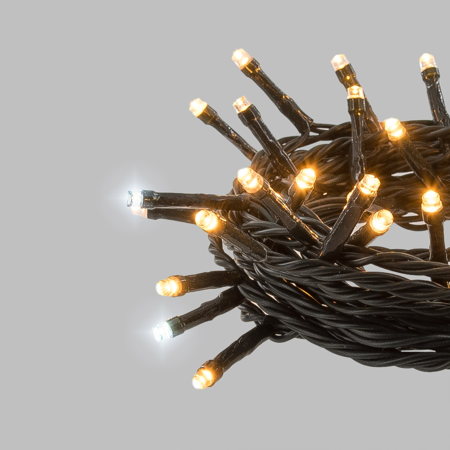 Catena Connect+ 5 m, 50 led bianco caldo e bianco freddo, cavo verde, prolungabile 2