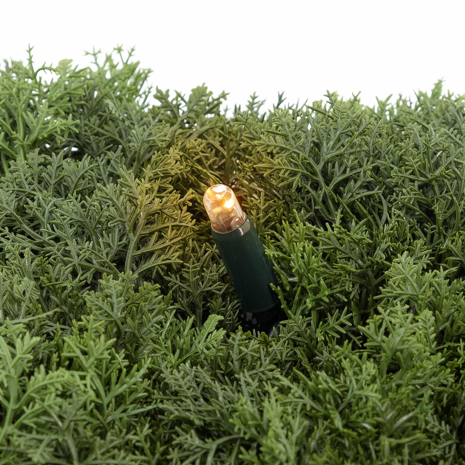 Pannello di Lichene artificiale verde bosco Green Wall Light, 16 maxiled Dual Color bianco caldo 14