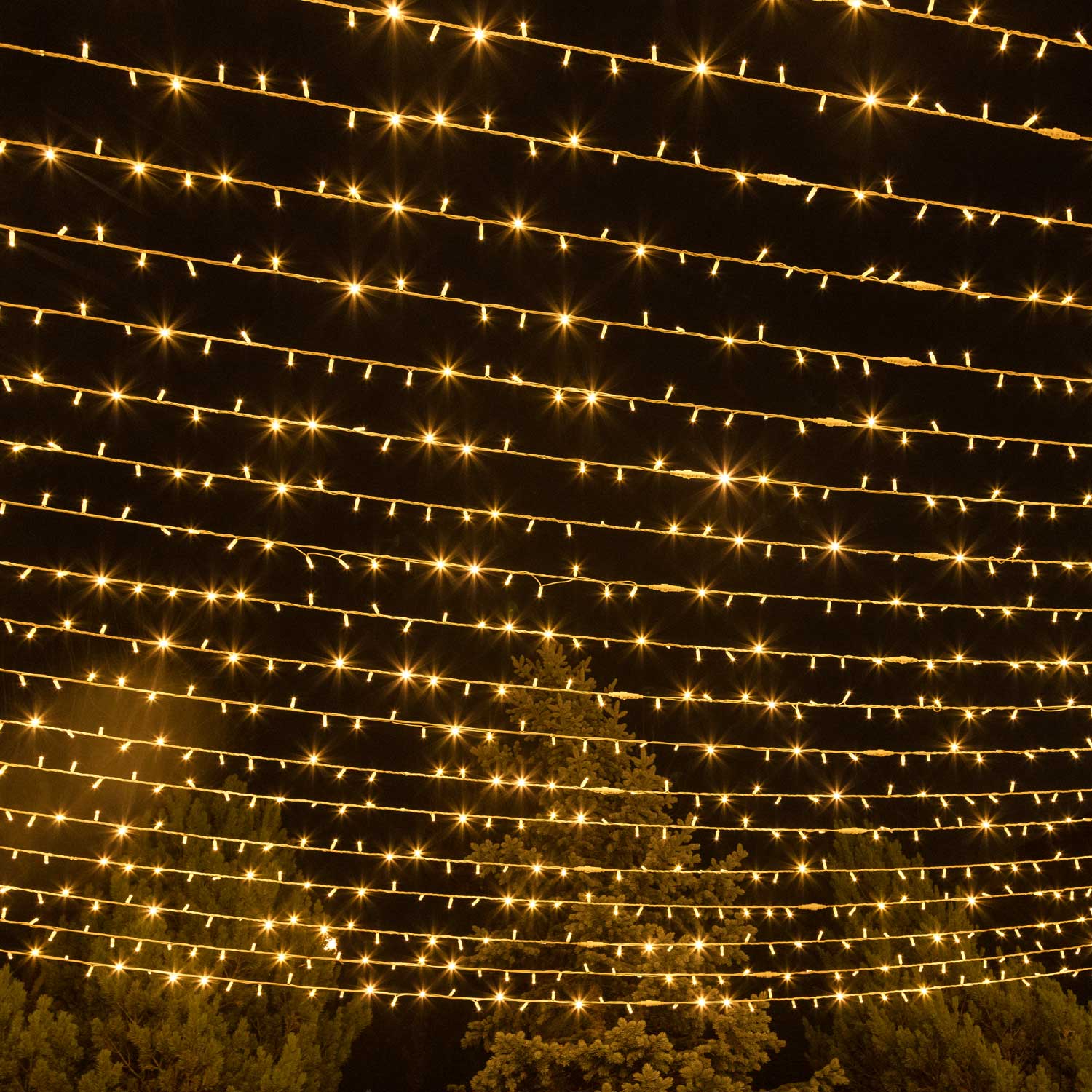 Lichterkette 20 m, 200 warmweiße MaxiLEDs , weißes Kabel, erweiterbar, IP67 3