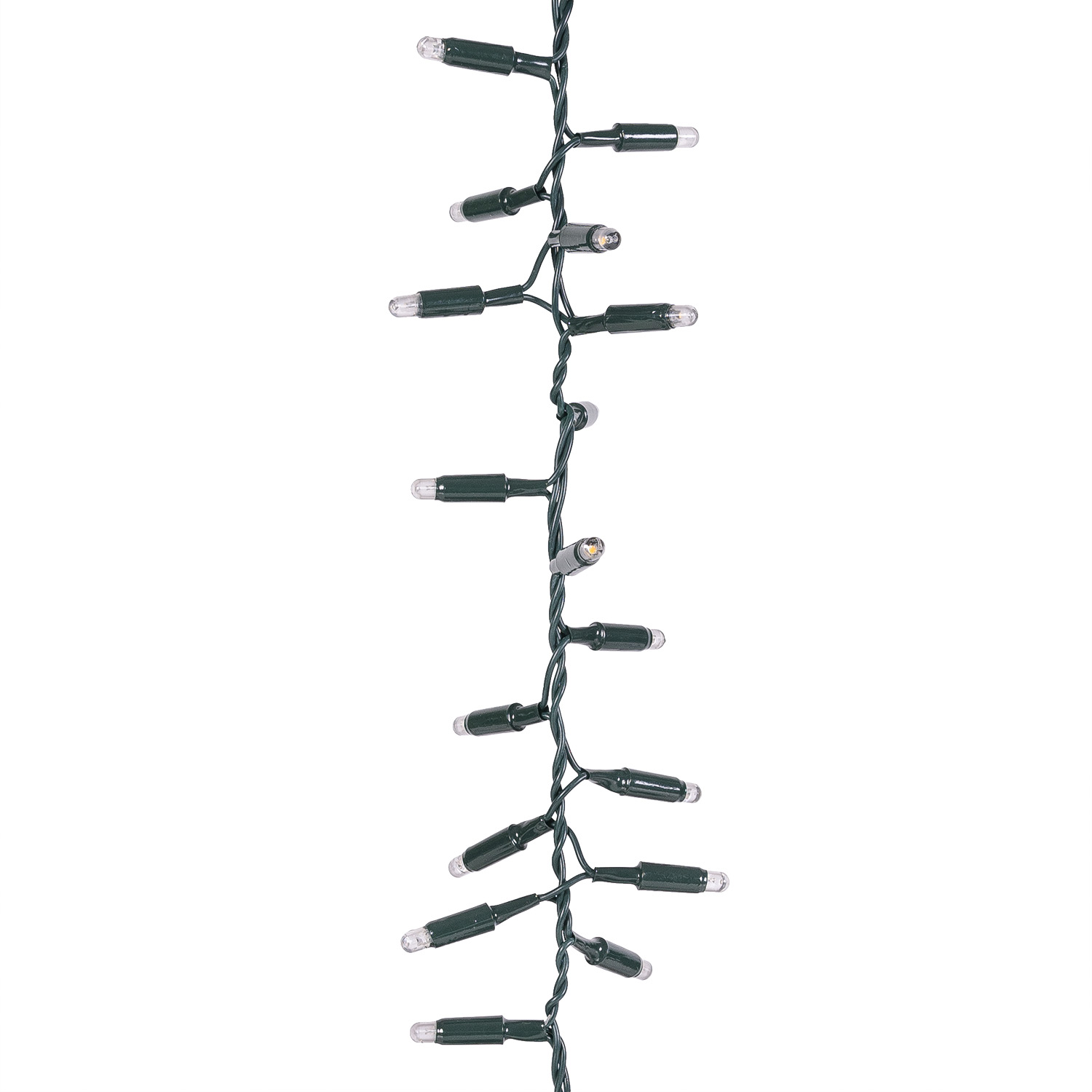 Festón Colgante Connect ProLine 36V Dual Color Flashing, 2 m, 100 maxiled blanco cálido, cable verde 5