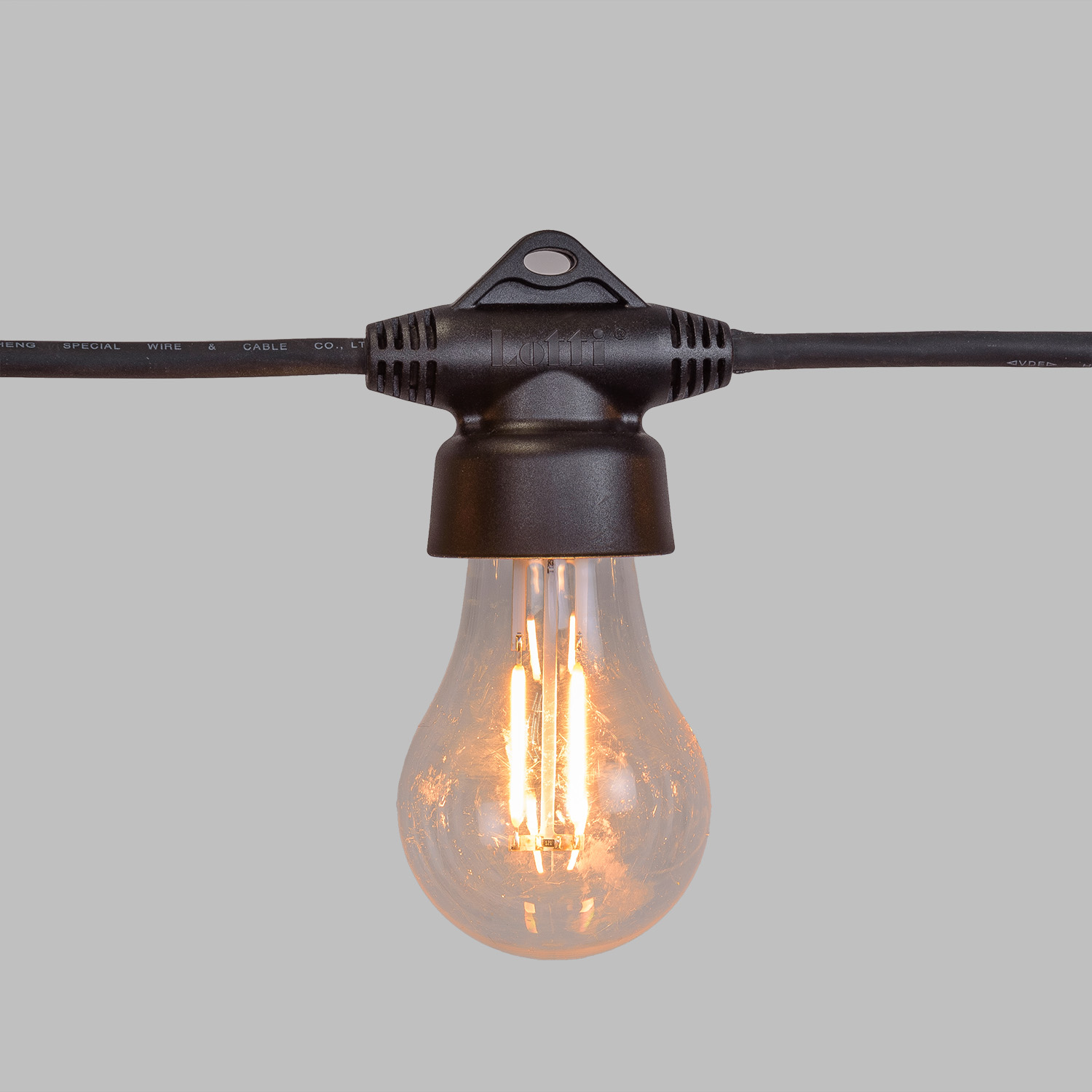 Catena 10 m, 20 lampadine Ø 60 mm, filament led bianco caldo, prolungabile, IP67 3