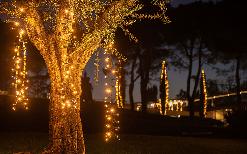 Palazzo di Varignana