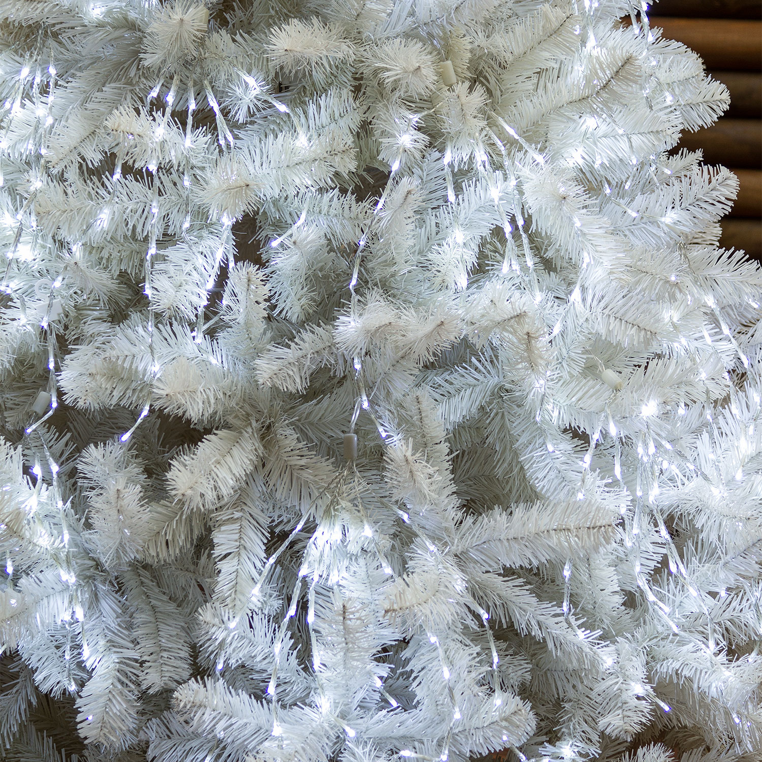 Catena luminosa 10 grappoli con miniled bianco freddo 1 Catena luminosa 10 grappoli con miniled bianco freddo 1