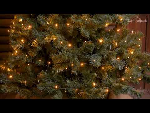 Lichterkette Star Wave Flash 25 m, MiniLEDs extra warmweiß 2 Lichterkette Star Wave Flash 25 m, MiniLEDs extra warmweiß 2