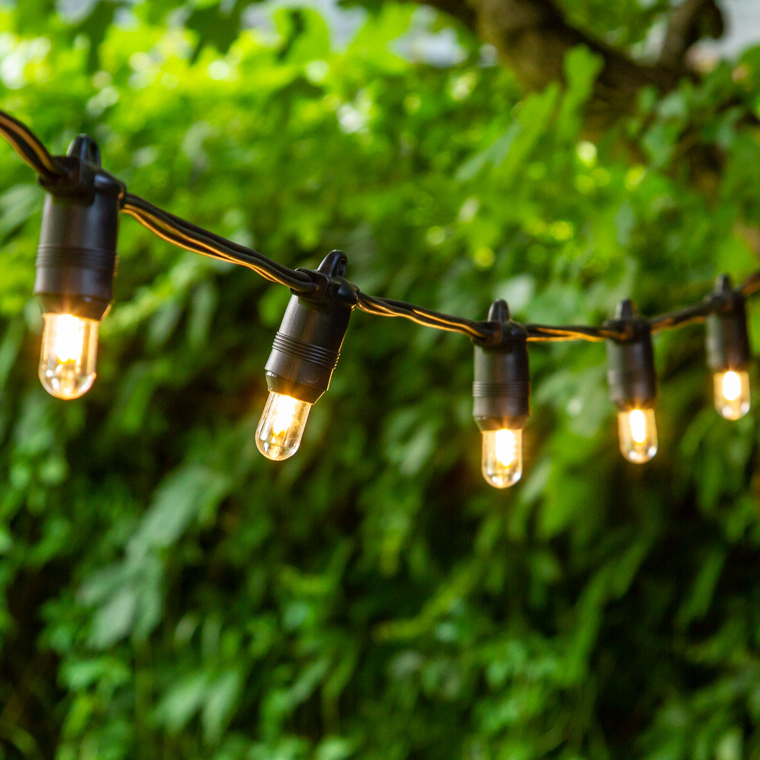 6m 20 Warm White E14 LED Bulbs Festoon Lights 6 6m 20 Warm White E14 LED Bulbs Festoon Lights 6