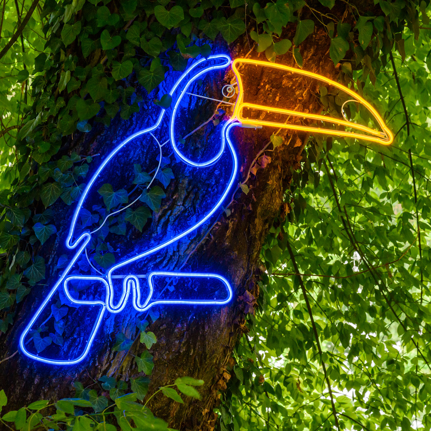 Toucan décoratif en tube lumineux effet néon, 90 cm, led bleu et orange Toucan décoratif en tube lumineux effet néon, 90 cm, led bleu et orange