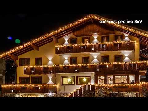 Animated Polar Star 36 cm, Connect ProLine 36V, 76 led SMD bianco freddo, cavo trasparente 2