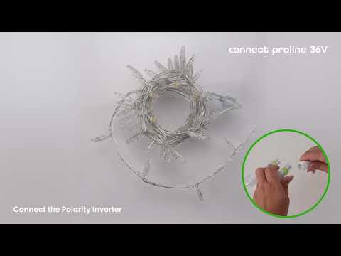 8 m Warm White Connect ProLine 36V String Lights, 80 maxiLEDs, transparent cable, connectable 3