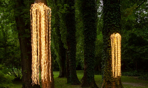 Willow Tree Lights