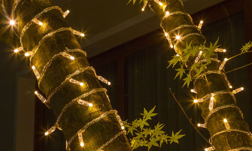 Einfache LED Lichterketten