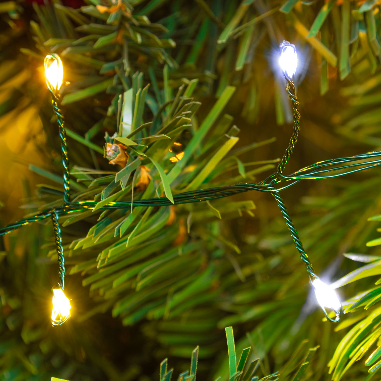 Catena Nastro di Luce 20 m, 1000 Micro led bianco caldo e freddo, cavo verde 3 Catena Nastro di Luce 20 m, 1000 Micro led bianco caldo e freddo, cavo verde 3