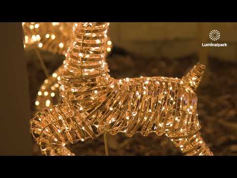 Petit Renne 3D Rose Gold, à côtes, h 70 cm, 400 microled blanc chaud 2