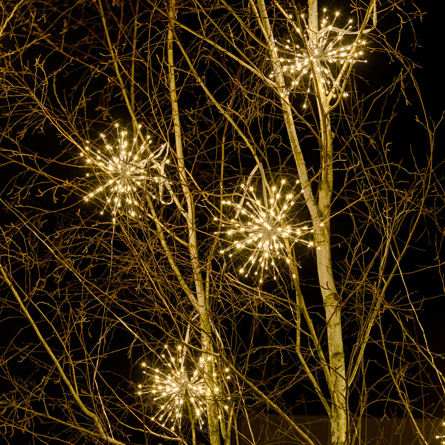 40cm Silver Twigball Branch Lights, 120 Warm White LEDs 12 40cm Silver Twigball Branch Lights, 120 Warm White LEDs 12