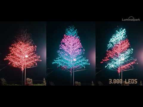 Twinkly Pro Gold Edition Lichterkette 25 m, 250 LEDs, transparentes Kabel 3 Twinkly Pro Gold Edition Lichterkette 25 m, 250 LEDs, transparentes Kabel 3