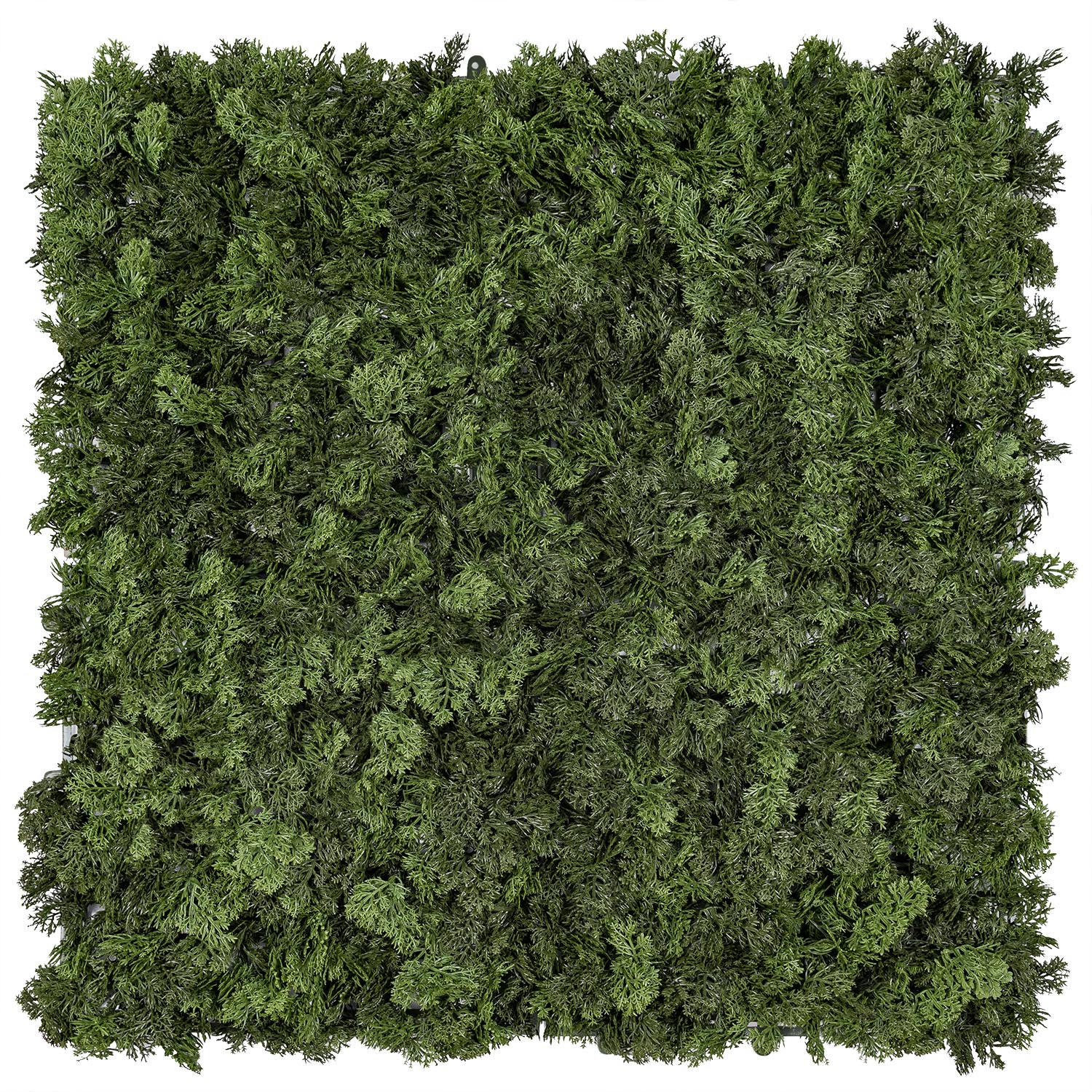 Panneau de Lichen artificiel vert forêt Green Wall Light, sans lumières