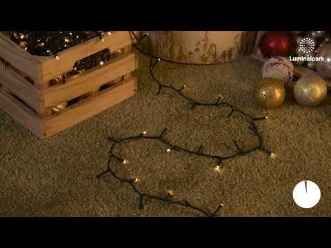 Guirlande 12,8 m, 320 led blanc chaud, câble vert 2