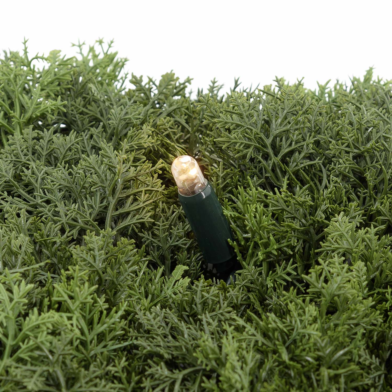 Pannello di Lichene artificiale verde bosco Green Wall Light, 16 maxiled Dual Color bianco caldo 15