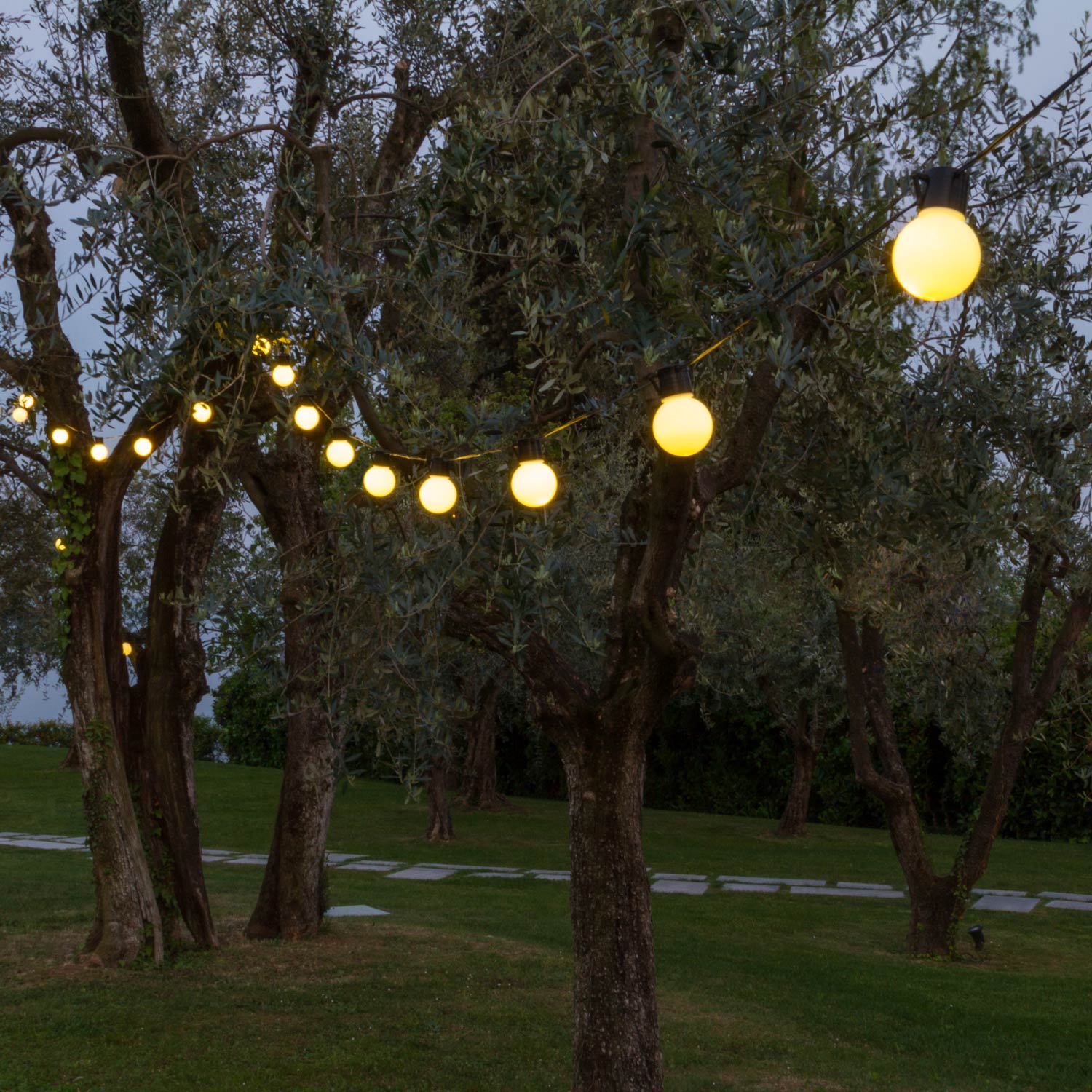 Catena 10 metri con 20 lampadine bianche Ø 50 mm, led bianco caldo Catena 10 metri con 20 lampadine bianche Ø 50 mm, led bianco caldo