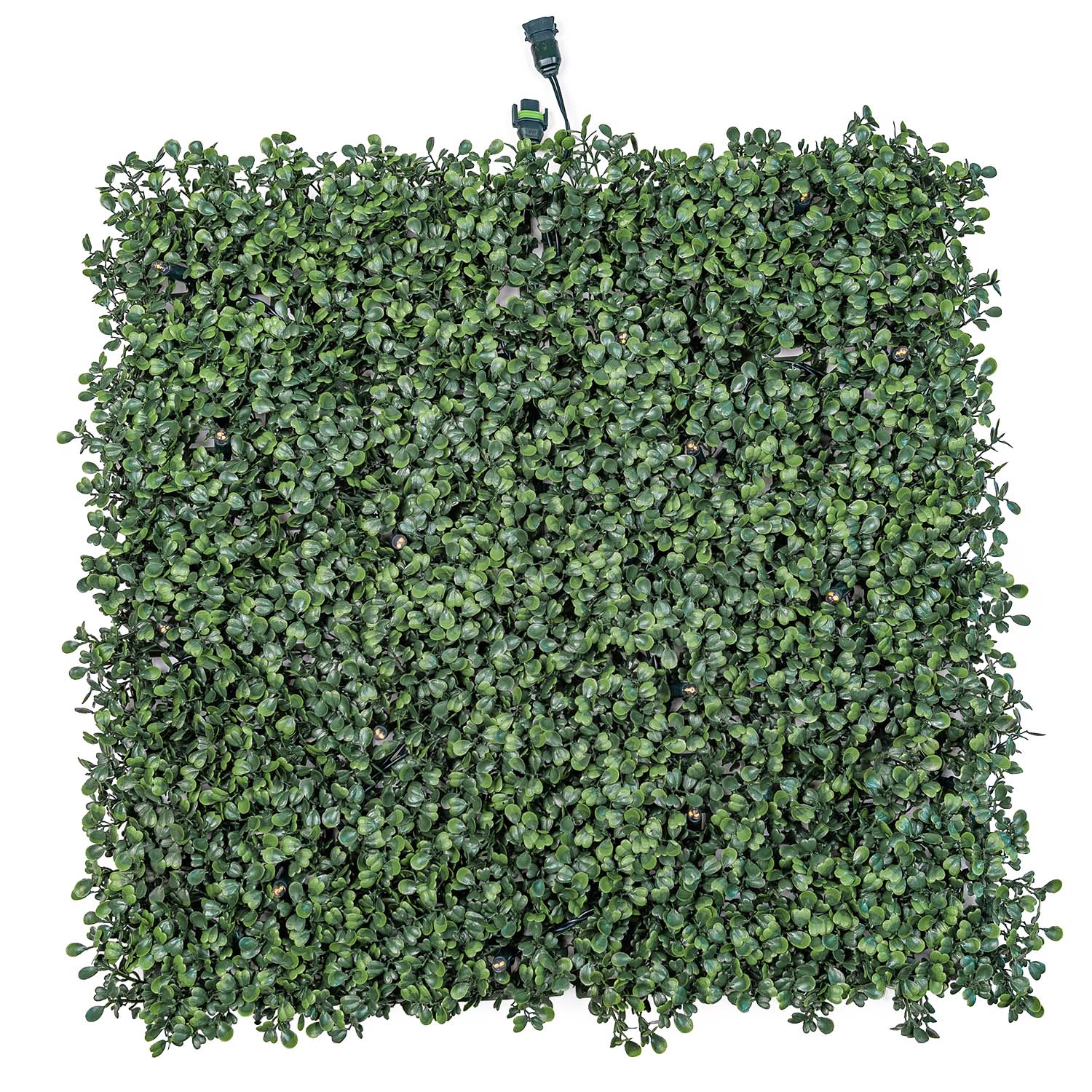 Pannello di Bosso artificiale verde scuro Green Wall Light, senza luci