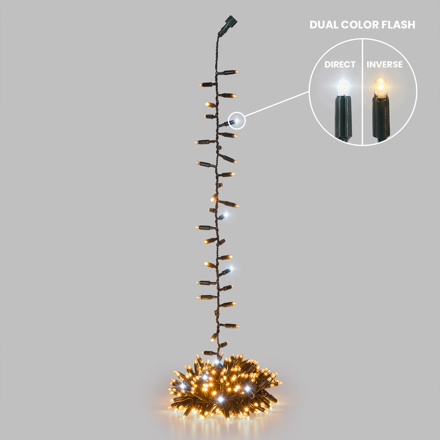 Festón Colgante Connect ProLine 36V, 5 m, 250 maxiled blanco cálido, cable verde