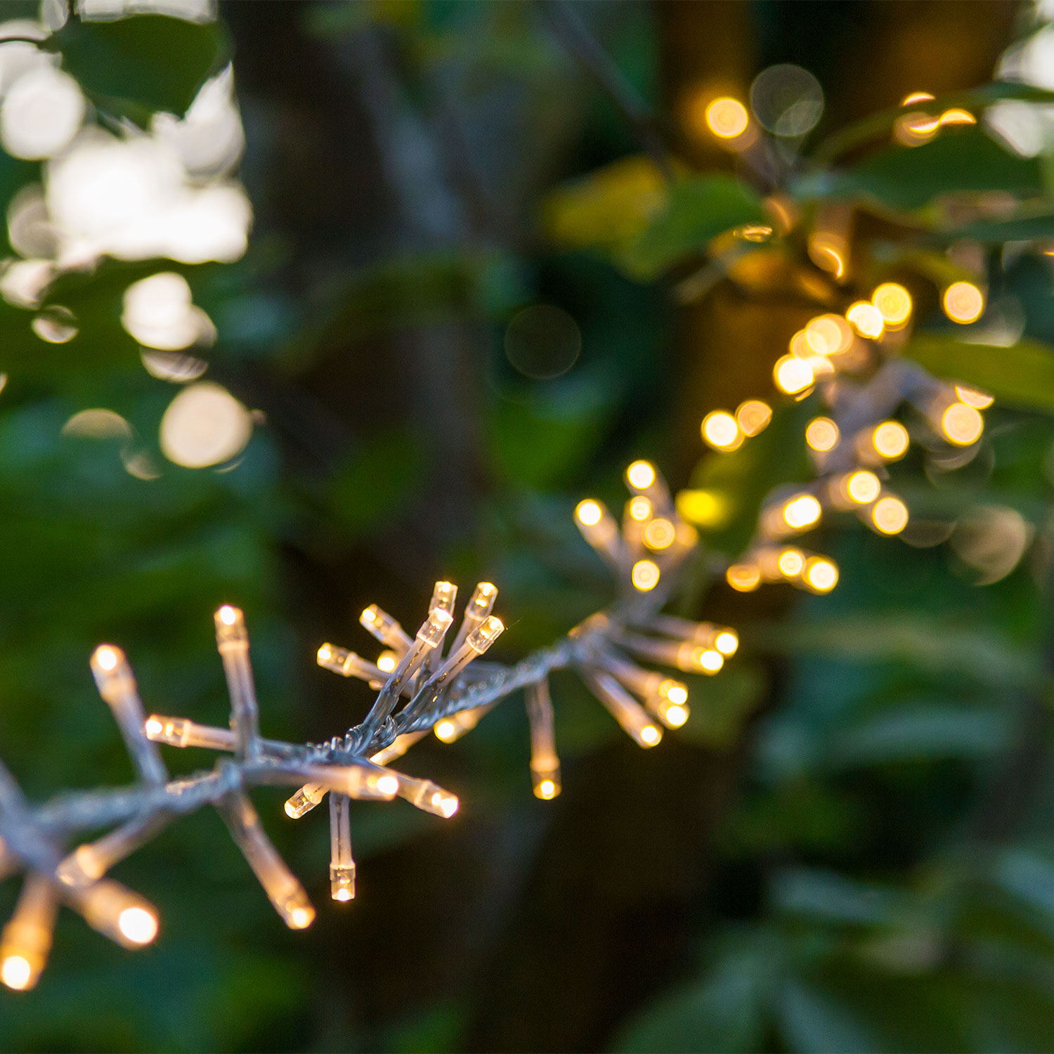 Guirlande MiniCluster 30,5 m, 1500 leds blanc chaud 5 Guirlande MiniCluster 30,5 m, 1500 leds blanc chaud 5