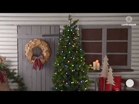  4.7 m, Battery-operated string lights, 48 mini-spheres Ø 15 mm, Dual Color Warm White and Multicolor LED 2