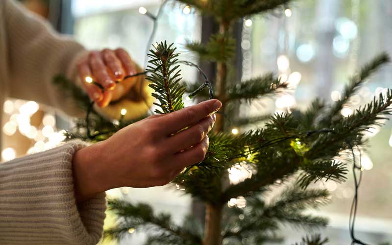 Mani che sistemano una catena di luci lungo un ramo dell’albero di Natale