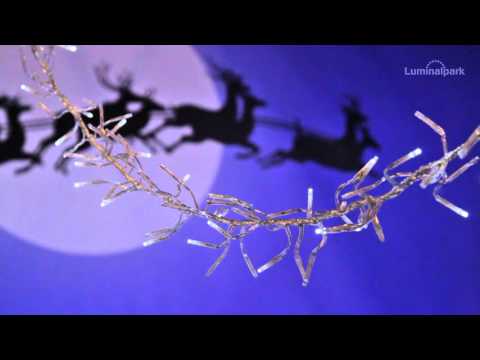12.5m 1100 White MiniLed Cluster String Lights 2 12.5m 1100 White MiniLed Cluster String Lights 2