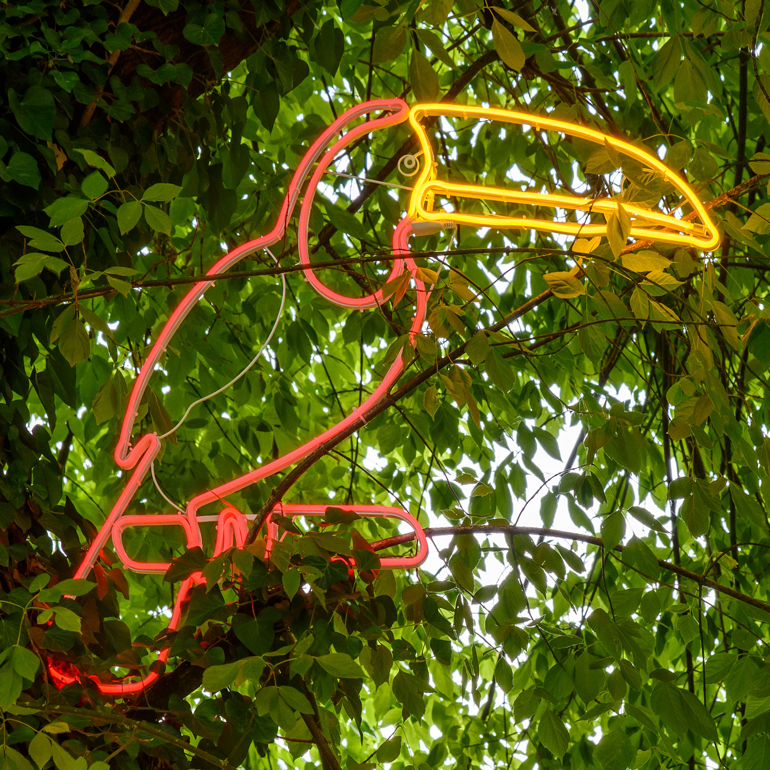 Toucan décoratif en tube lumineux effet néon, 90 cm, led rouge et orange Toucan décoratif en tube lumineux effet néon, 90 cm, led rouge et orange