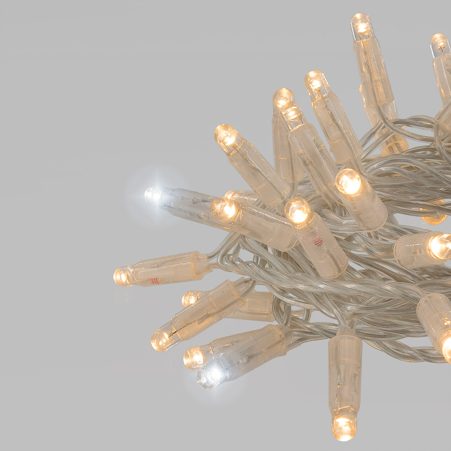 Guirlande Connect ProLine 36V, 5 m, 50 maxiled blanc chaud soft, câble transparent 4