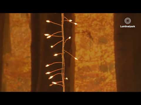 Lichterkette Kupfer 20 m, 1600 Micro-LEDs in Extra Warmweiß und Warmweiß 2