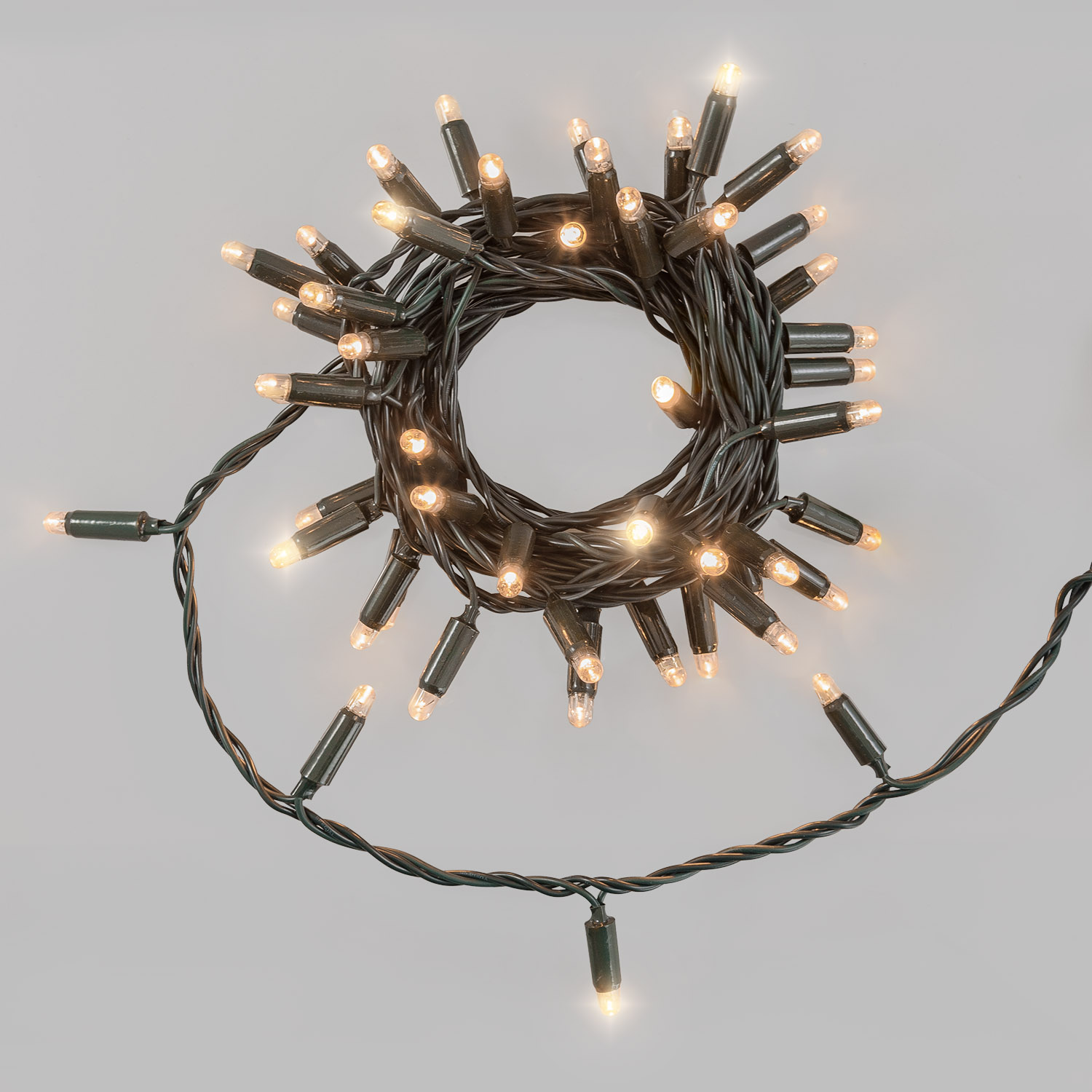 Guirlande Connect ProLine 36V, 5 m, 50 maxiled blanc chaud soft, câble vert 7