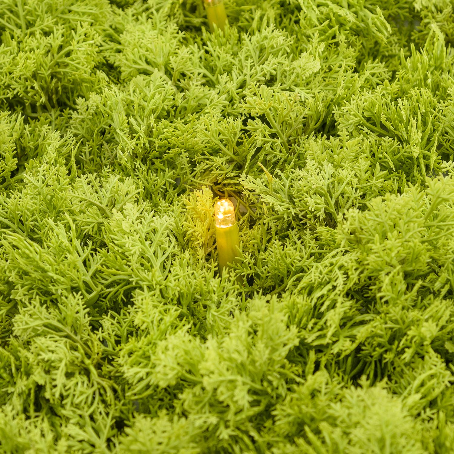 Pannello di Lichene artificiale verde acido Green Wall Light, 16 maxiled Dual Color bianco caldo 3