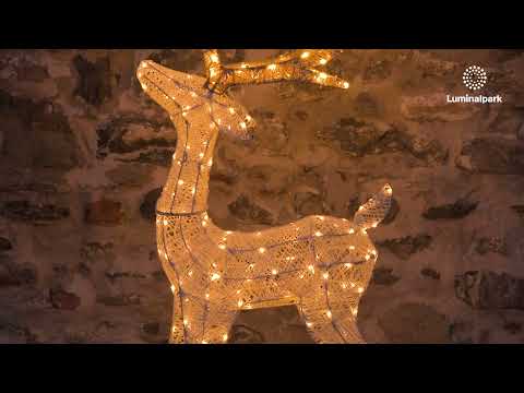 95cm Raised Head Reindeer 3D, Light Cream & Brown Series, 200 Dual LEDs in Traditional Warm White and Cold White 2